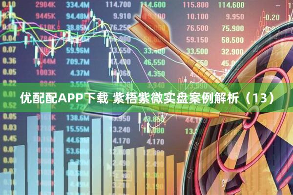 优配配APP下载 紫梧紫微实盘案例解析（13）