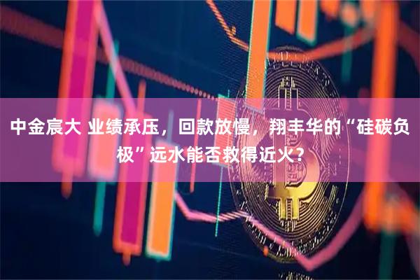 中金宸大 业绩承压，回款放慢，翔丰华的“硅碳负极”远水能否救得近火？