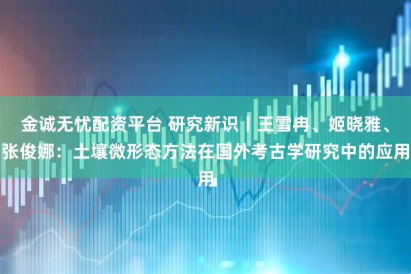 金诚无忧配资平台 研究新识丨王雪冉、姬晓雅、张俊娜：土壤微形态方法在国外考古学研究中的应用